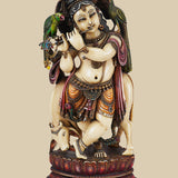 Krishna's Music
