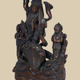 Krishna & Kalia Naag
