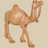 Desert Camel - Sculpture in Wood