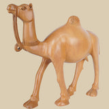 Desert Camel - Sculpture in Wood