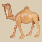 Desert Camel - Sculpture in Wood